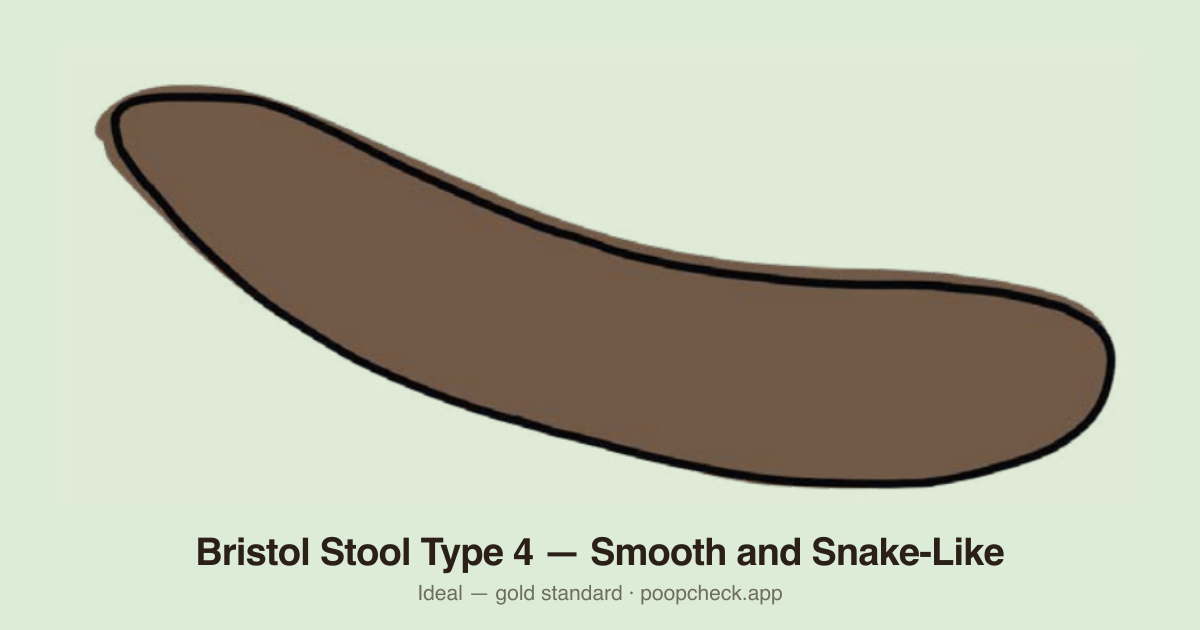 Bristol Stool Chart Type 4: Smooth, soft, and snake-like or sausage-shaped. Typically a single piece.
