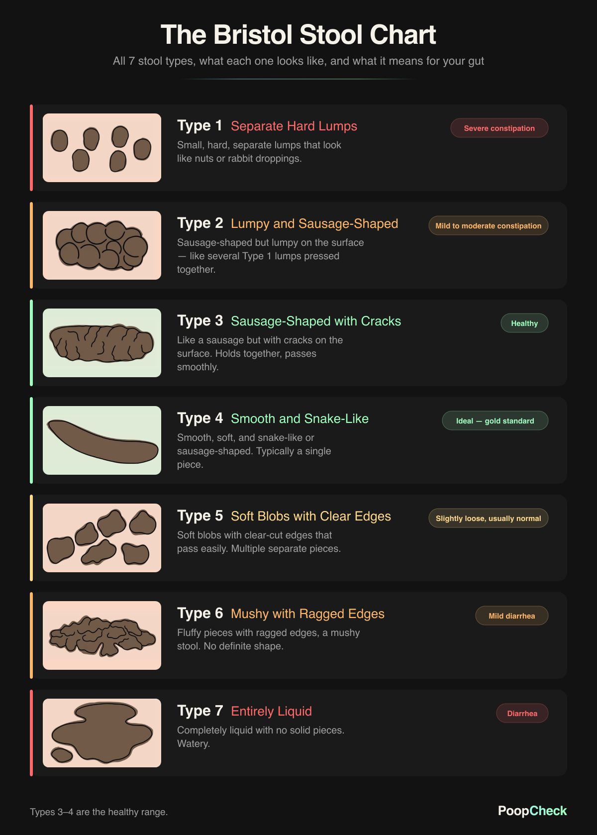 The Bristol Stool Chart — illustrations of all 7 stool types, from Type 1 separate hard lumps (severe constipation) through Type 4 smooth and snake-like (ideal) to Type 7 entirely liquid (diarrhea).